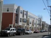 Chelsea TND Portfolio