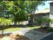 Hartley Terrace from Google Maps